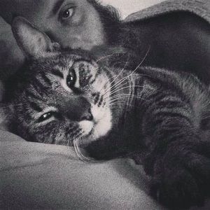 Meet your Posher, Gabe